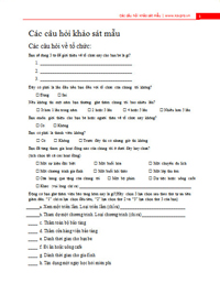 Các câu hỏi khảo sát mẫu 3
